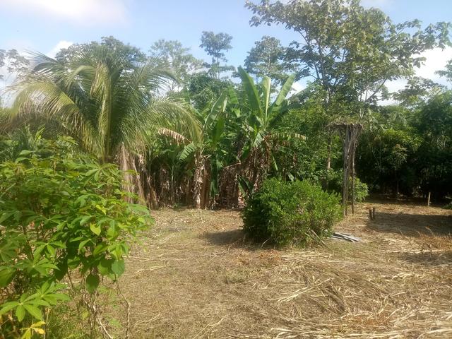Vendo uma chacara top - Foto 5
