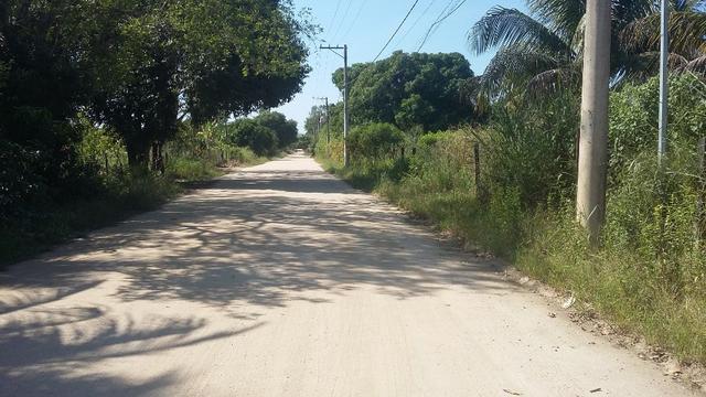 Vendo ou alugo - Foto 3