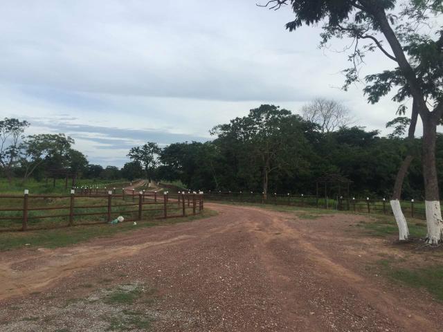 Lote com acesso ao Rio Atraz do belvedere - Foto 9