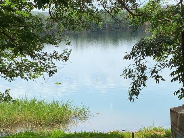 Rancho dos Dourados na adea dos dourados - Foto 2