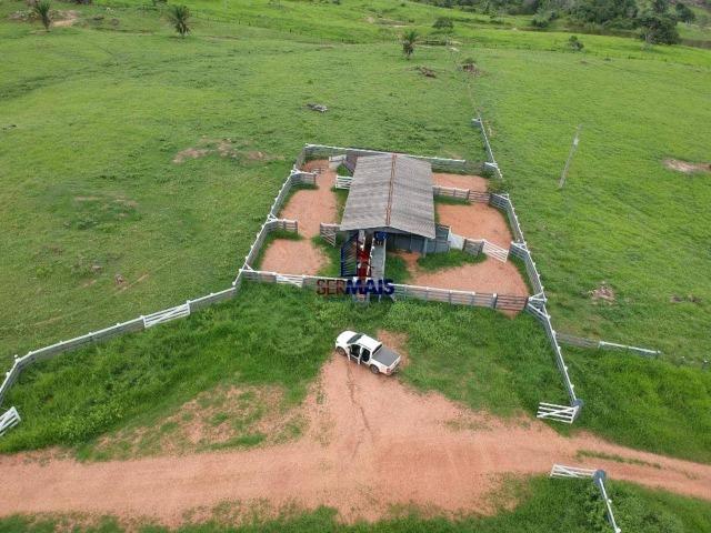 Fazenda à venda, por R$ 10.000.000 - Zona Rural - Presidente Médici/RO