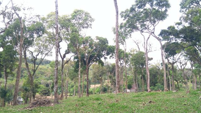 Chacara R$ 310,000.00 Faz. Rio Grande /Mandirituba medindo 20.000.00m2