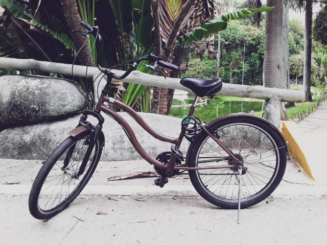 Bicicleta Praiana