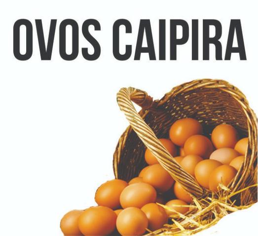 Ovos Galinha Caipira 8,50 duzia