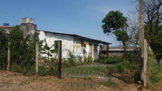 Terreno à venda, 330 m² por r$ 200.000,00 - são jerônimo - gravataí/rs - Foto 3