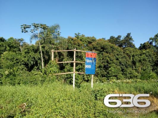 Terreno | Joinville | Santo Antônio - Foto 6