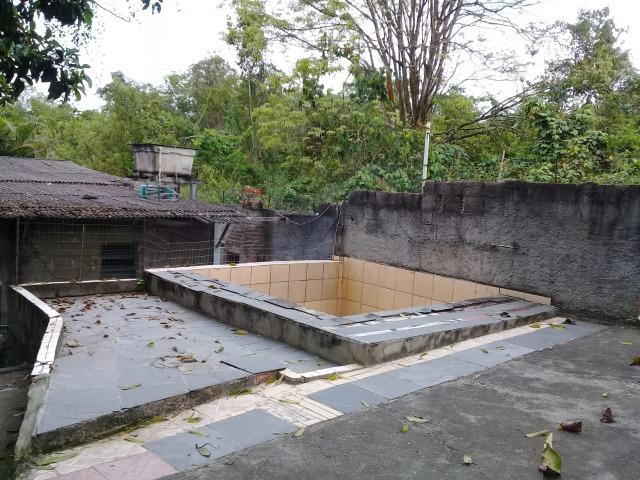 Pequeno sítio de 720 m2, todo plantado em Itambi - Foto 12