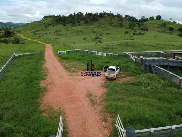 Fazenda à venda, por R$ 10.000.000 - Zona Rural - Presidente Médici/RO - Foto 14