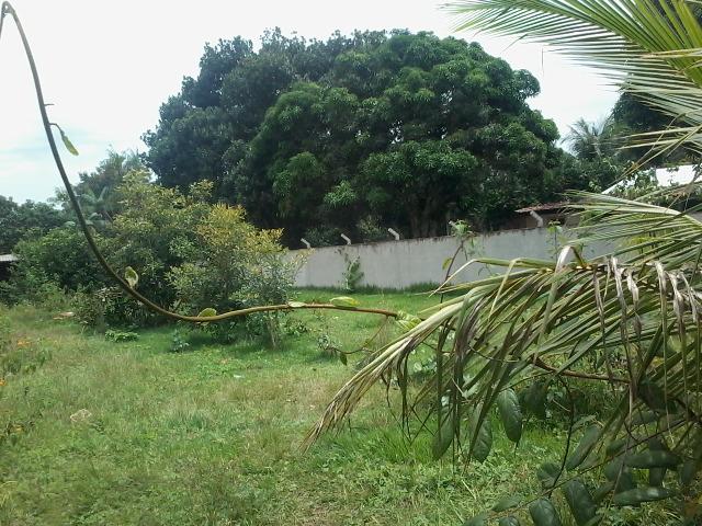 Alugo ou Vendo terreno 22x50m, na zona rural de Iranduba - Aluguel R$ 400- Venda R$ 50mil - Foto 3