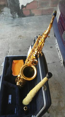 Sax condor