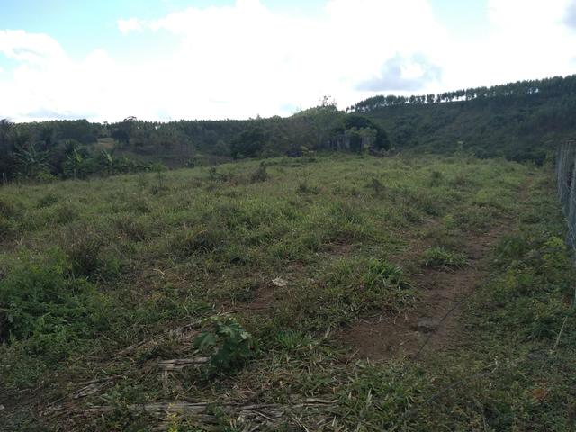 Terreno 10.000m2 - Foto 5