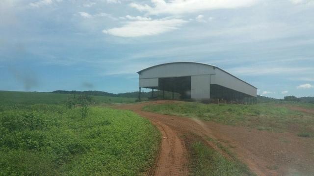 Fazenda à venda: 130 km de Brasília - DF, 1.683 hectares - R$ 40.000.000,00 - Foto 9