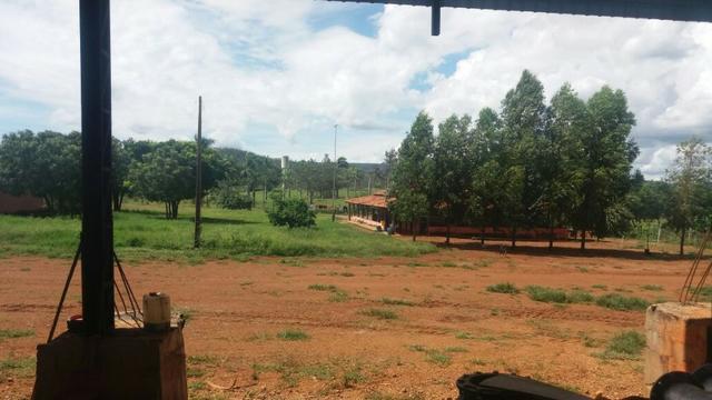 Fazenda à venda: 130 km de Brasília - DF, 1.683 hectares - R$ 40.000.000,00 - Foto 5