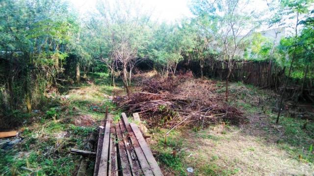 Terreno, Protásio Alves, Porto Alegre-RS - Foto 8