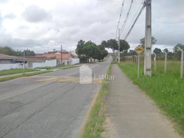 Terreno de 480m² no Cruzeiro, São José dos Pinhais - Foto 9