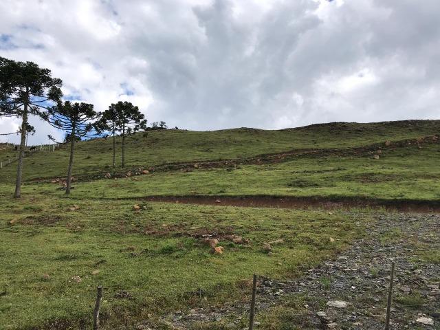 Terreno Urubici/ Chácara Urubici - Foto 13