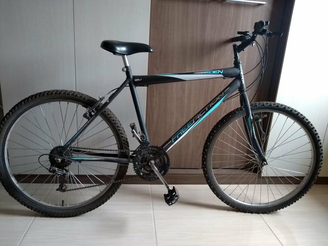 Bicicleta free action - barbada