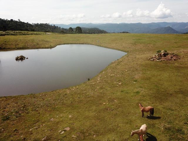 Terreno Urubici/ Chácara Urubici - Foto 7