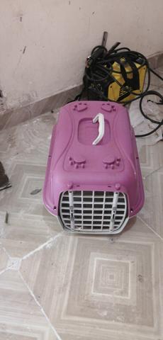 Cesta de cachorro