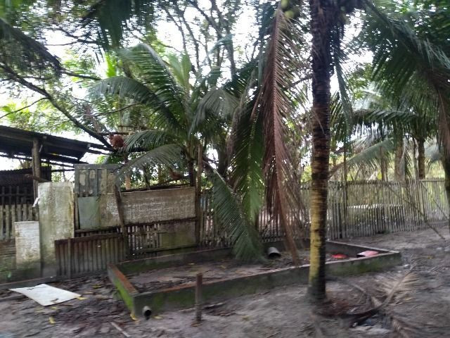 Sitio no cupiuba em Castanhal-Pa 100x450 R$ 120 mil reais troco em casa em Castanhal - Foto 12