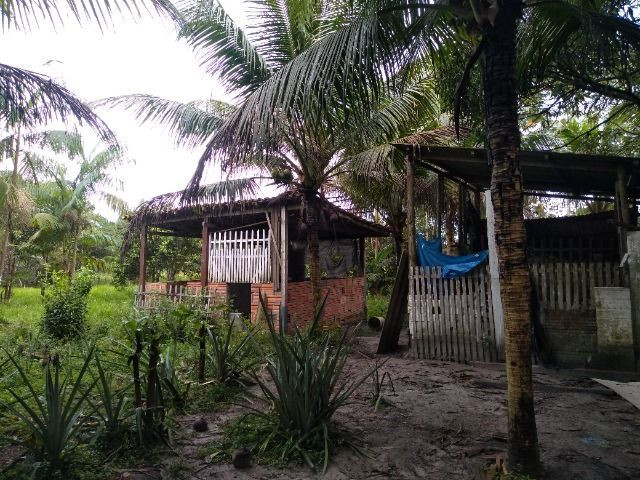 Sitio no cupiuba em Castanhal-Pa 100x450 R$ 120 mil reais troco em casa em Castanhal - Foto 16