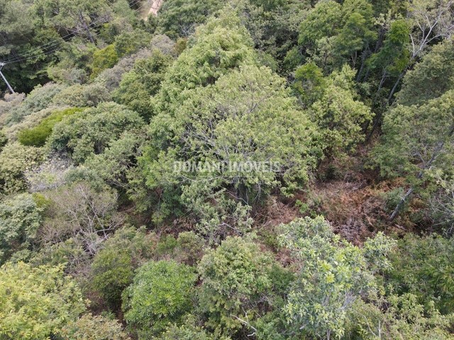 Ampla Área com Vista na Região do Alpes de Campos do Jordão - Campos do Jordão/SP - Foto 6