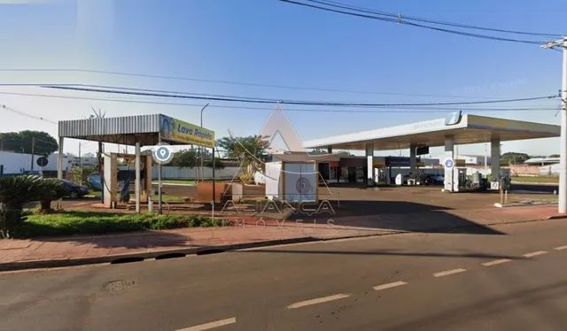Ponto Comercial - Ribeirão Preto - Vila Elisa - Foto 2
