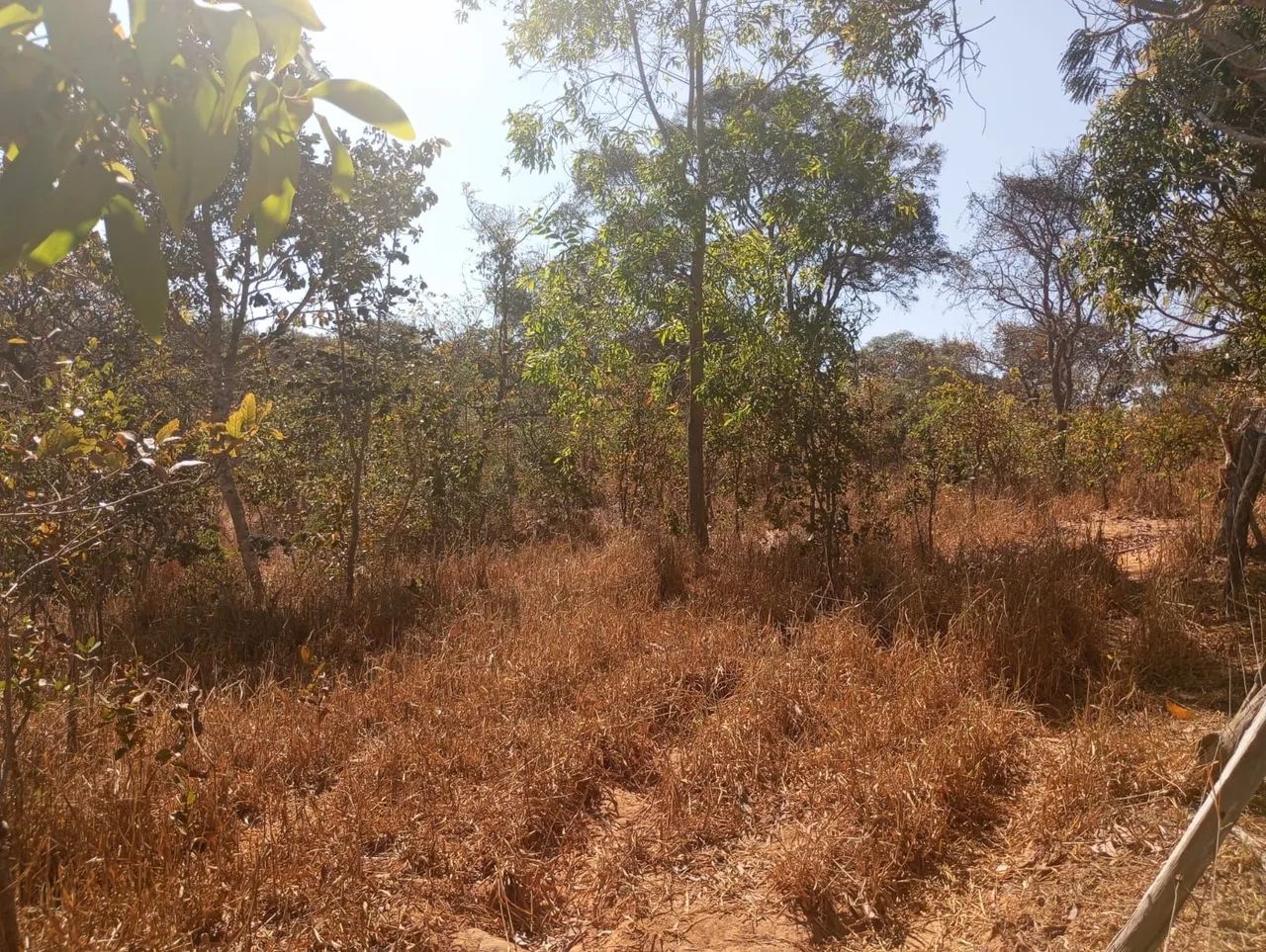 foto - Montes Claros - Cândida Câmara