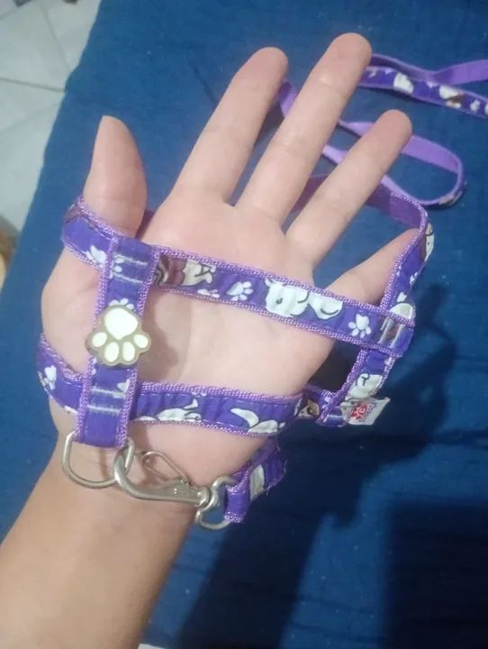 Coleira e Guia para Cães