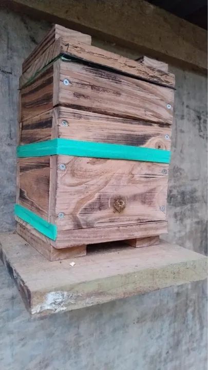 Caixas de abelhas asf  - Foto 5