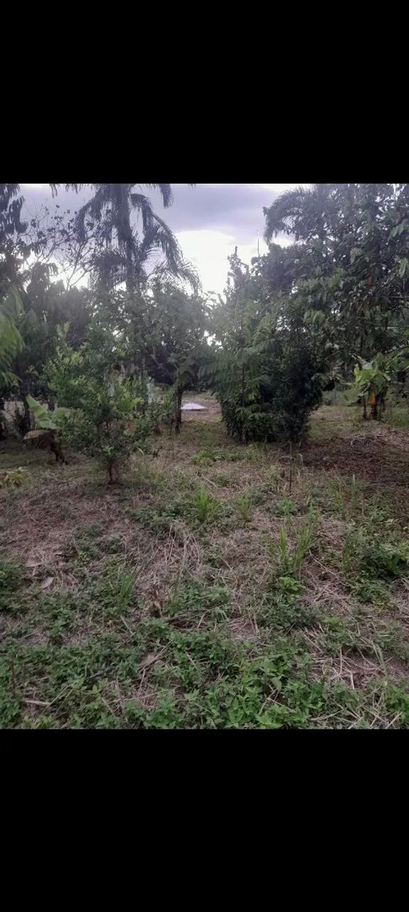 Terreno 10×30  - Foto 4