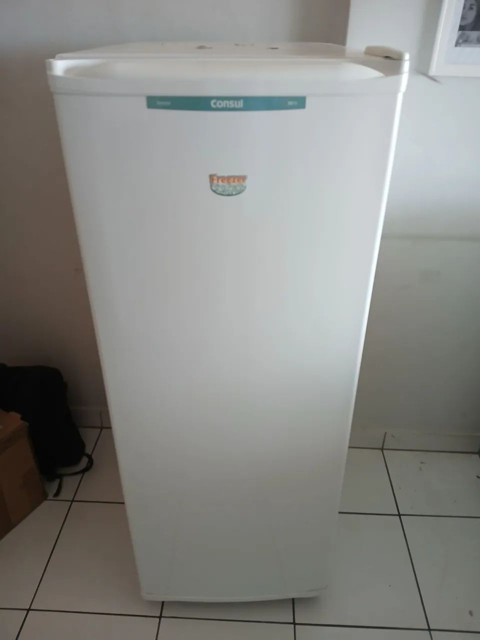 Freezer Vertical Consul