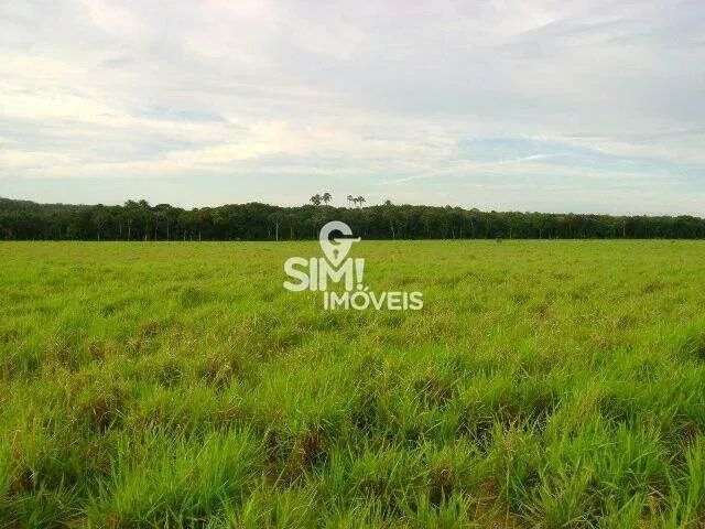 OPORTUNIDADE ÚNICA, FAZENDA TODA FORMADA EM PEDRO AFONSO! - Foto 5