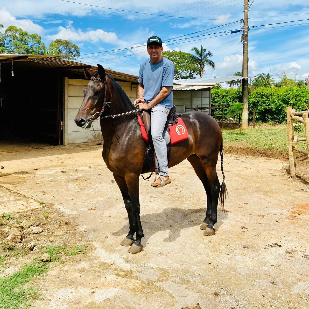 Egua MM registrada - Foto 4