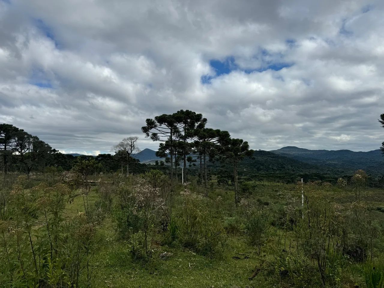 Sitio em Urubici/ Chácara em Urubici - Foto 4