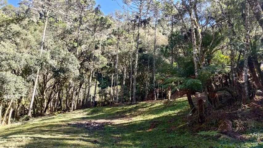 Sitio / Terreno / Chácara / Rio dos Bugres Urubici Cascata e Rio - Foto 4