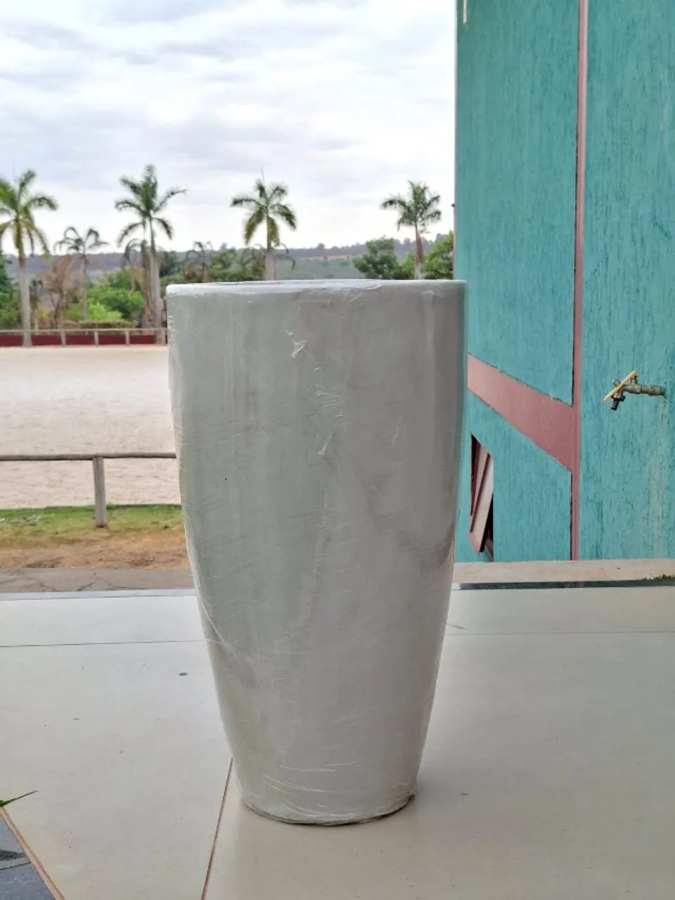 Vasos e plantas - Foto 2