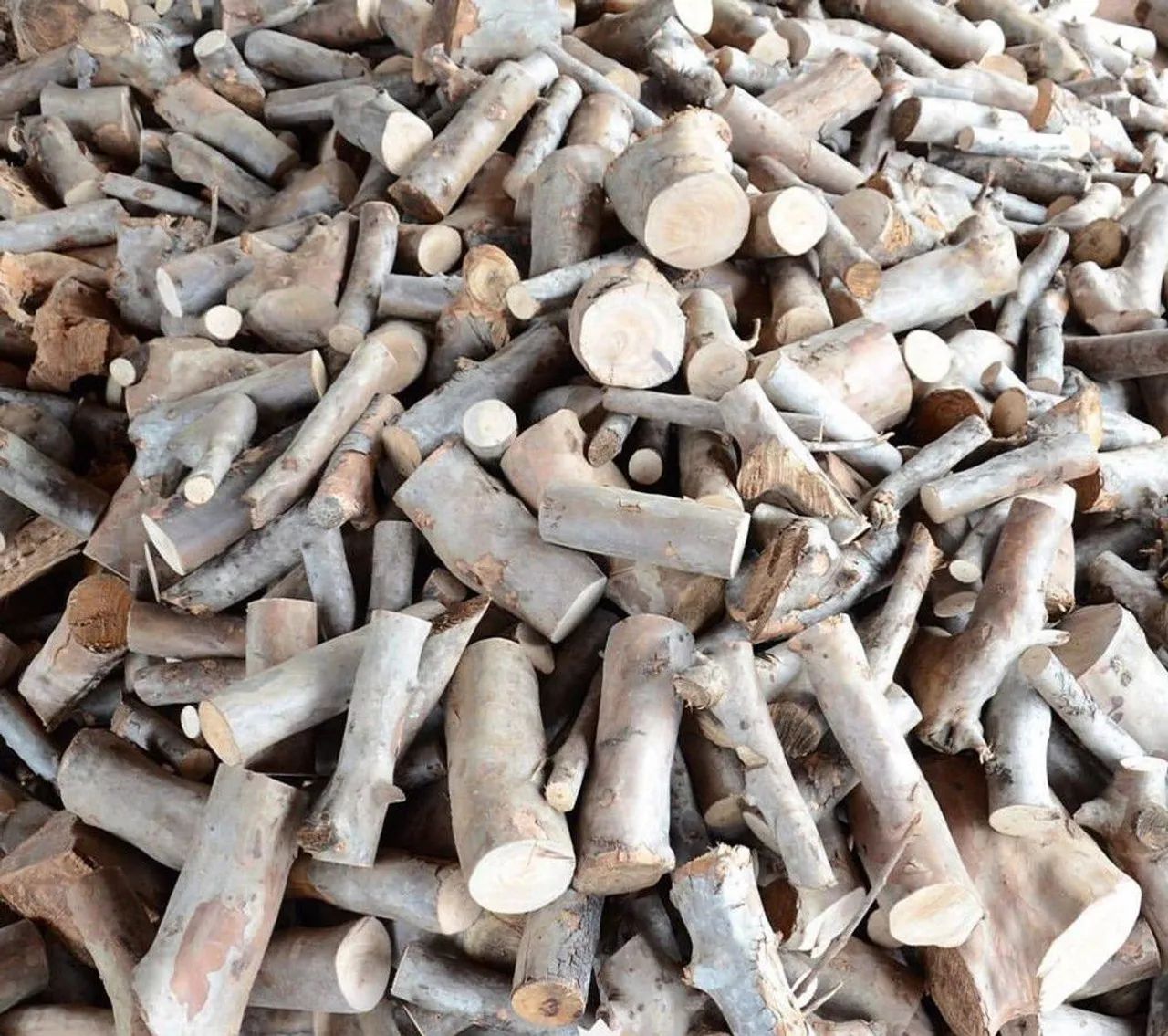 LENHA NOBRE PARA CHURRASCO, DEFUMAÇÃO E PARRILLA - ENTREGA RÁPIDA. - Foto 3