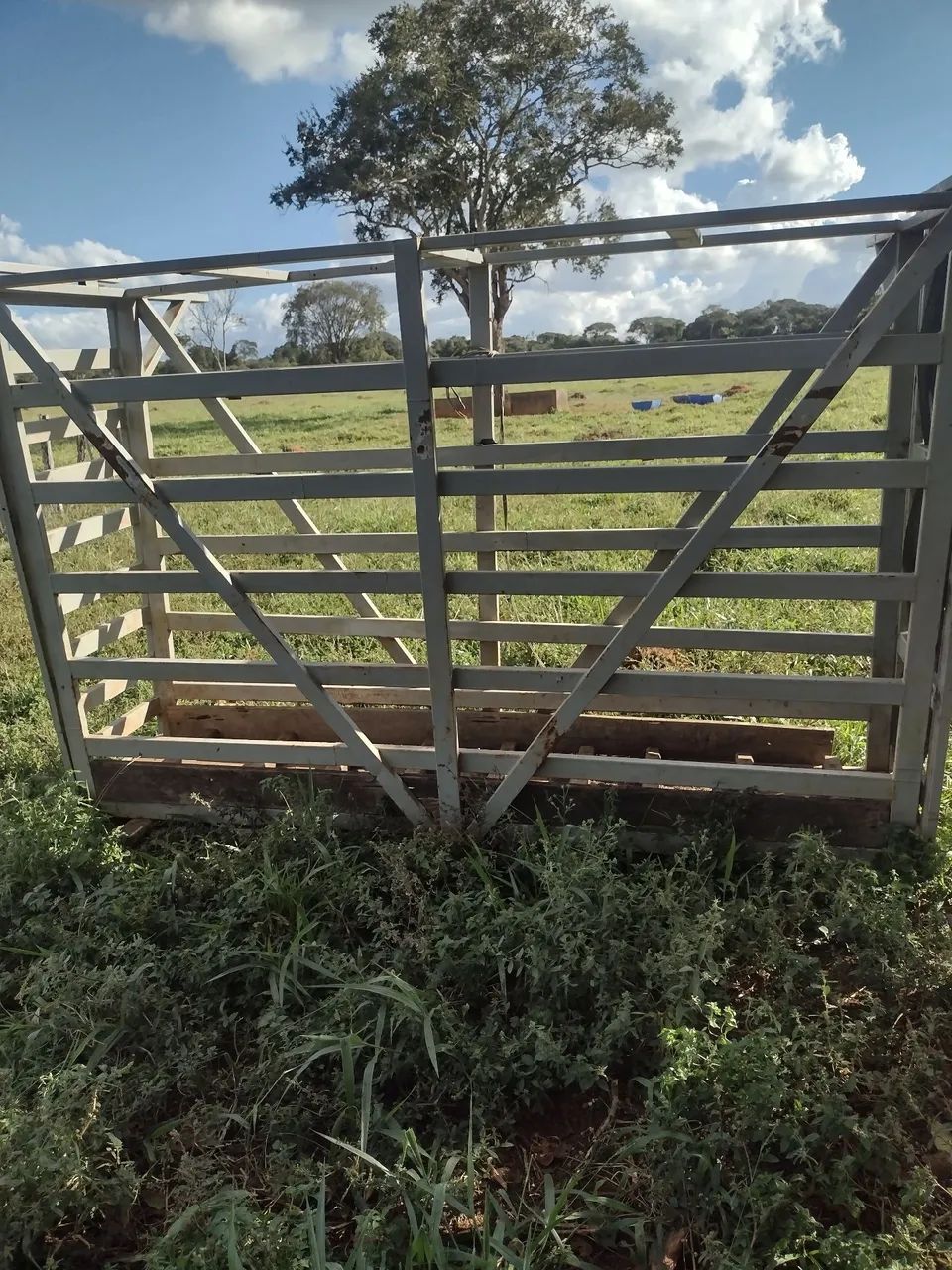 Tronco de contenção e balança bovina  - Foto 2