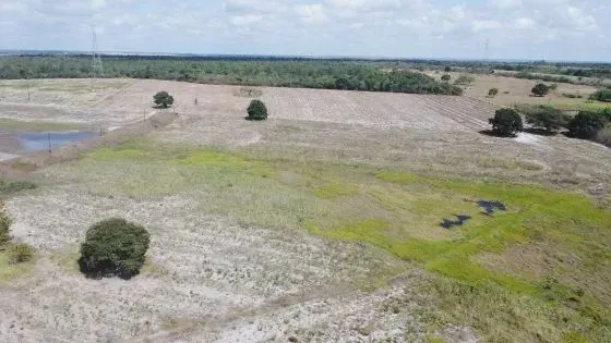 fazenda com 300 hectares entre Macaiba e Parnarmirim