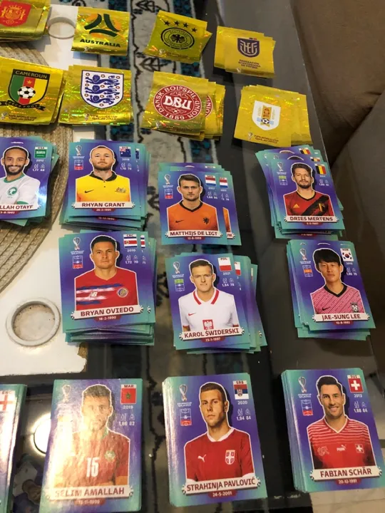 Figurinha da Copa do Mundo 2022 - Diversos Jogadores