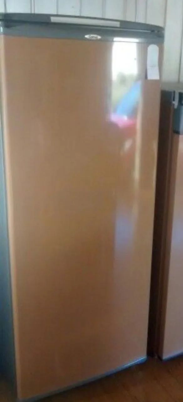 Geladeira consul pratice 310 