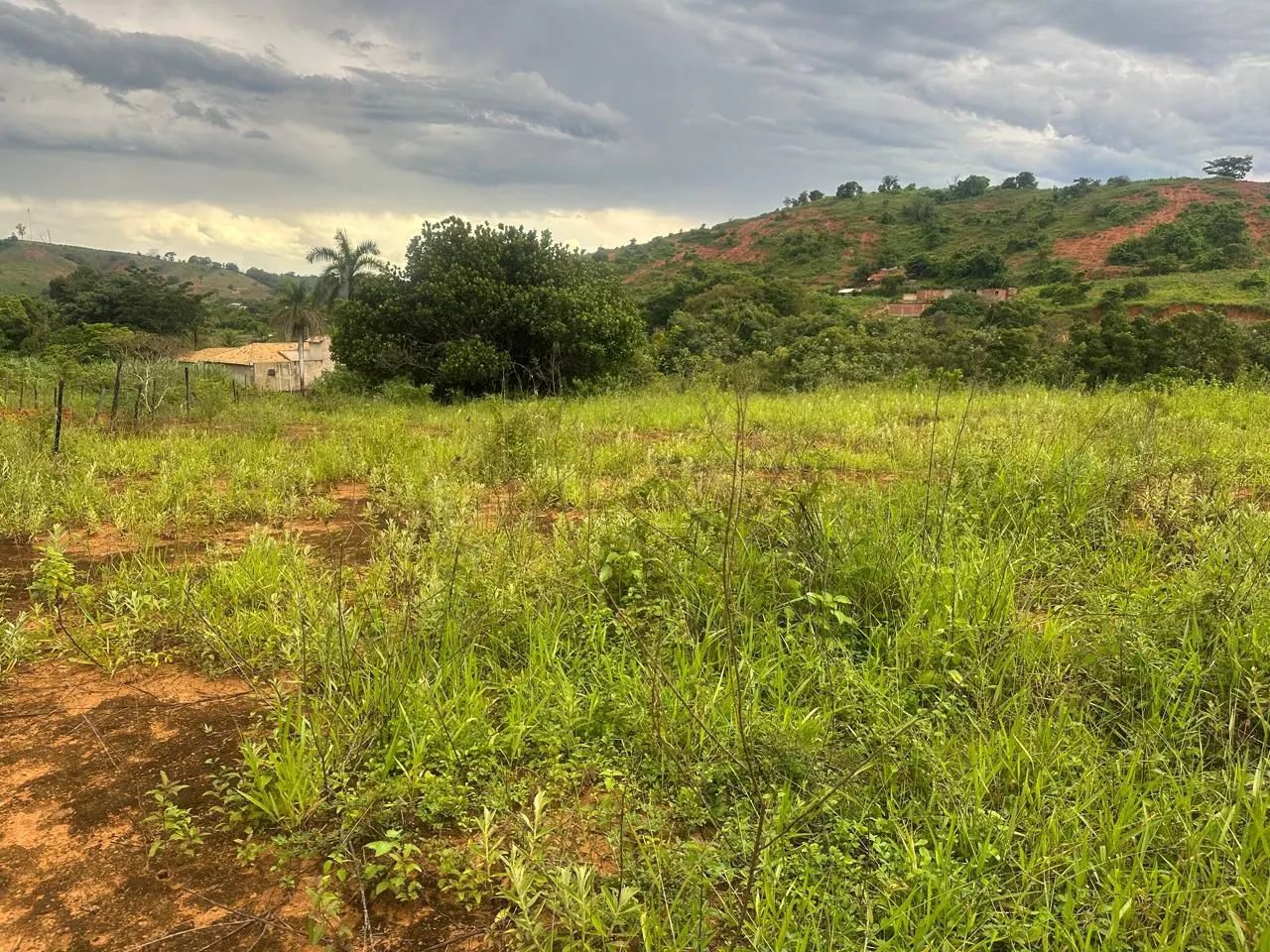 Lote 1.000 m² brauninha - Foto 2
