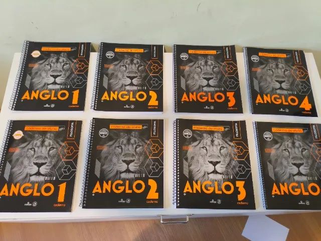Material Anglo para Estudo  - Foto 3