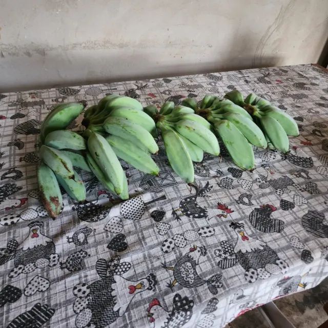 banana - Foto 2