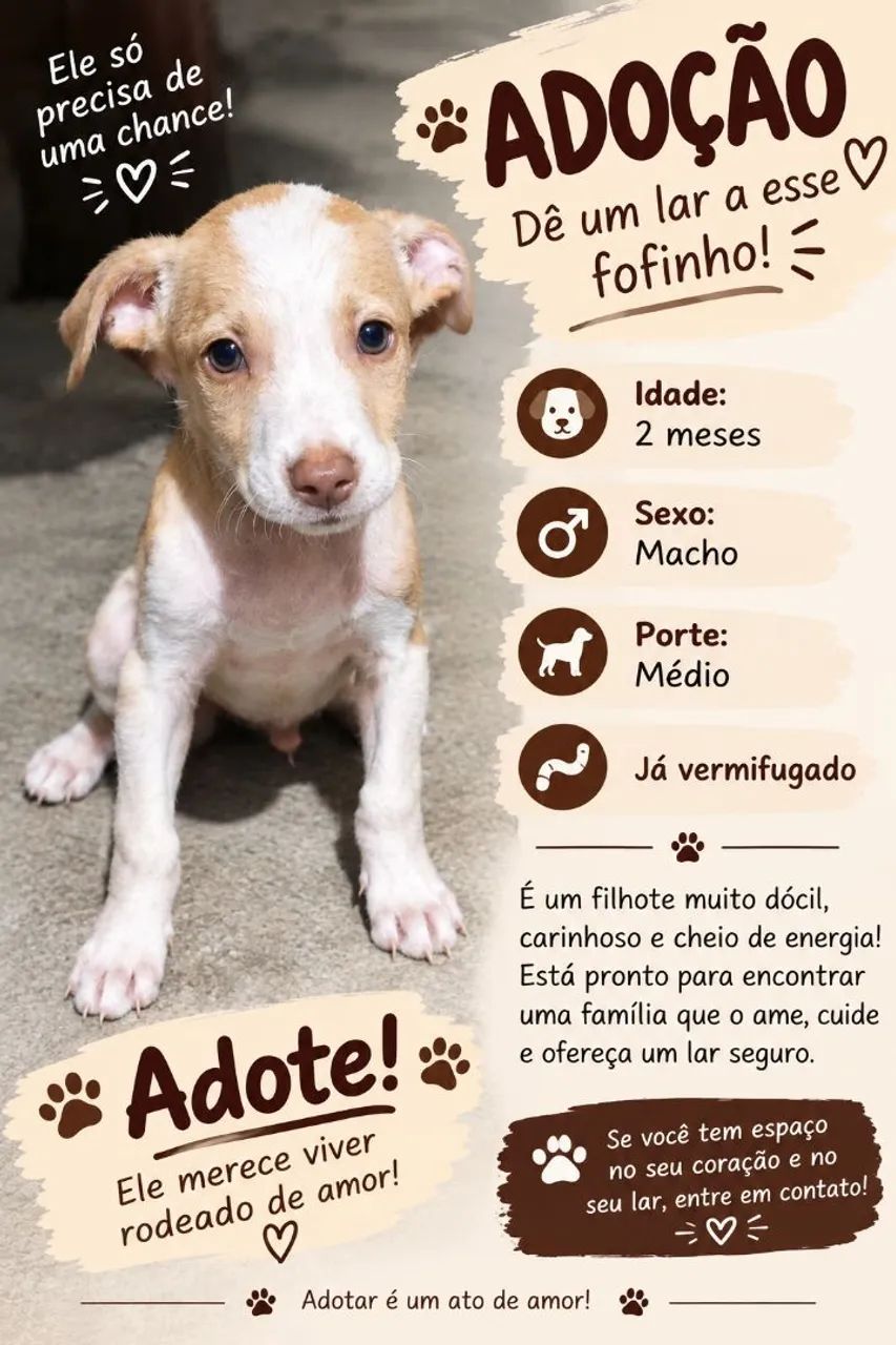 Para adoação  - Foto 2