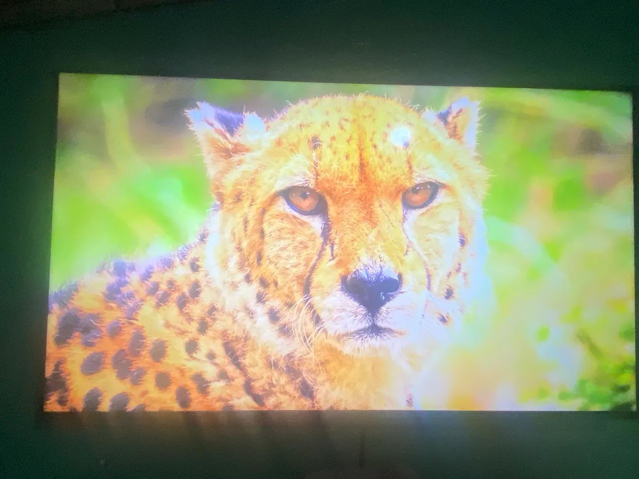 Samsung 42" | Tela de Qualidade - Foto 2