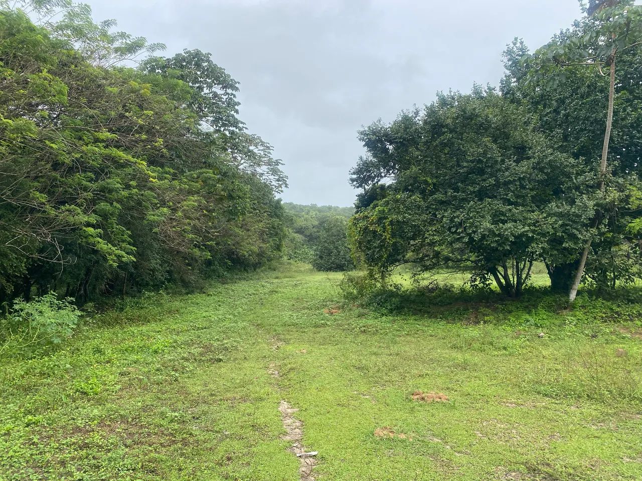 Terreno em Parnamirim  - Foto 2
