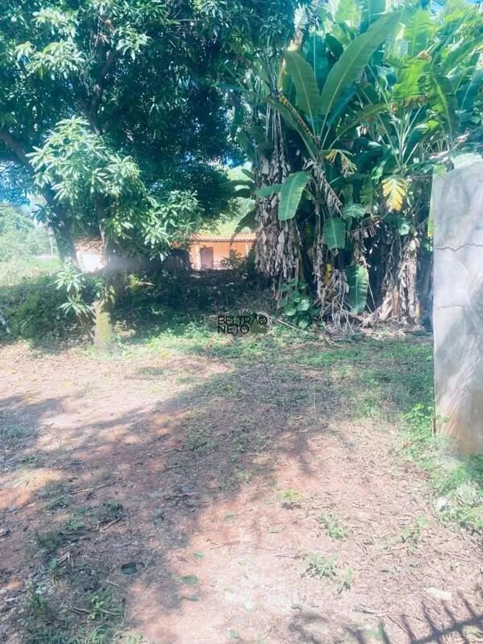 Lote à venda na Pampulha - Foto 3