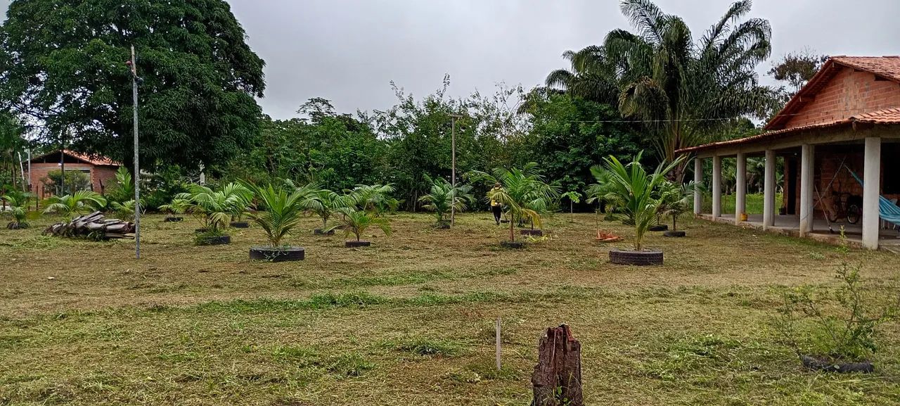 Sítio em santo Antônio do Tauá  - Foto 4
